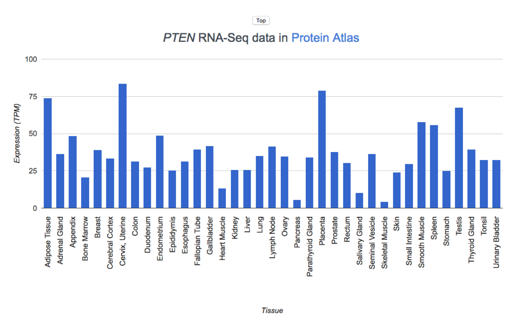 Expression ProteinAtlas